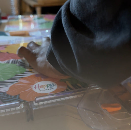 How I Plan My Business for the New Year